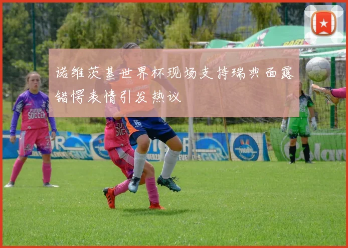诺维茨基世界杯现场支持瑞典面露错愕表情引发热议