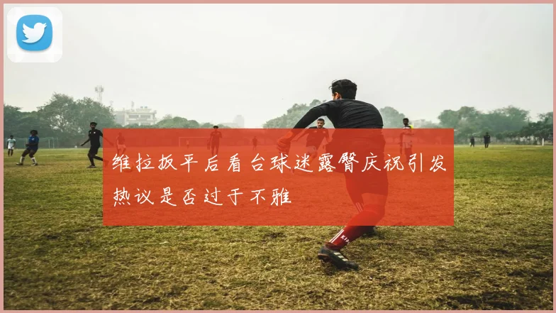 维拉扳平后看台球迷露臀庆祝引发热议是否过于不雅