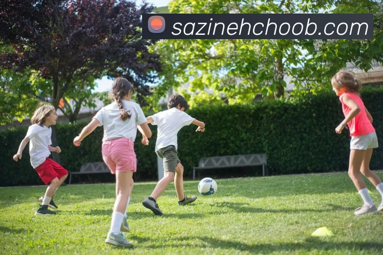 广发体育app官网入口服务体系
